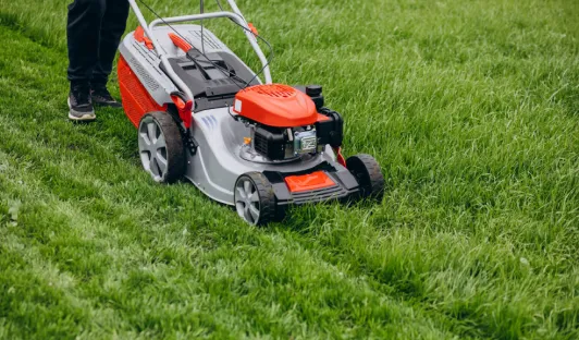 Lawn Care and Maintenance